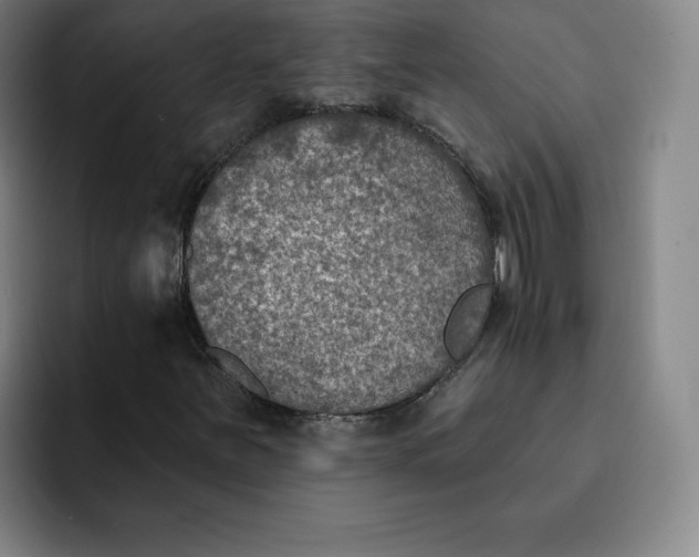 X0000091891251200709261633