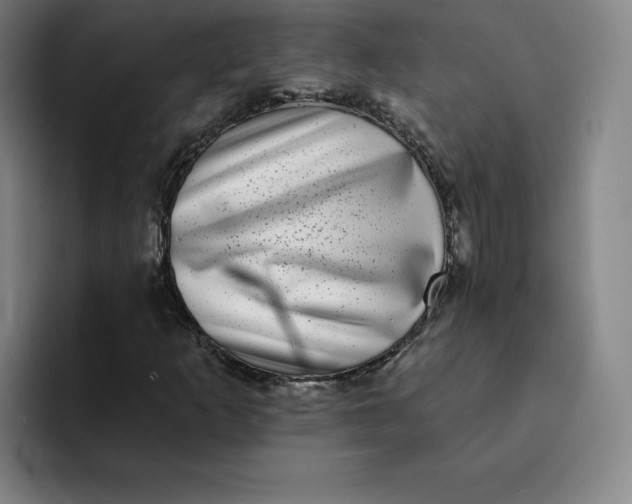 X0000091891253200709261633