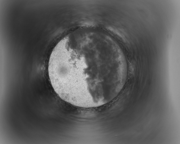 X0000091891254200709261633