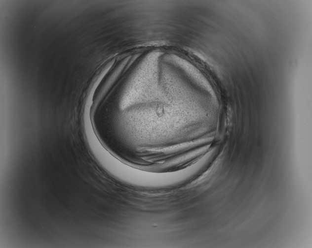 X0000091891257200709261633