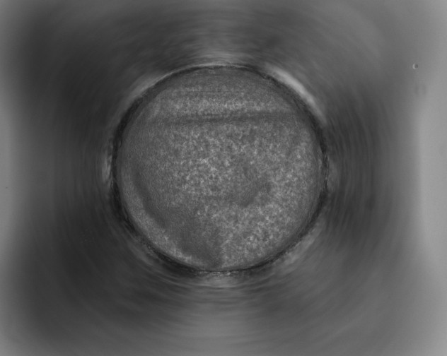 X0000091891259200709261633