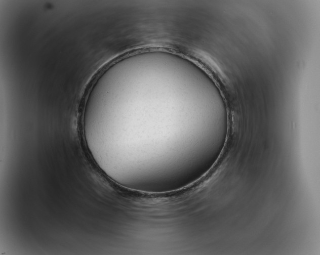 X0000091891260200709261633
