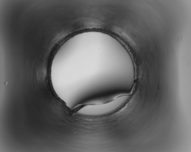 X0000091891261200709261633