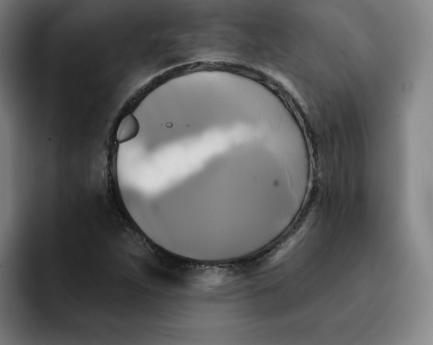 X0000091891263200709261633