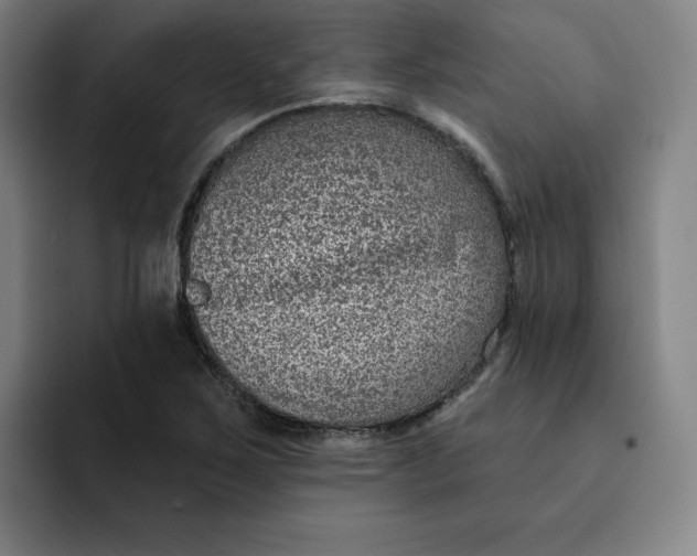 X0000091891267200709261633