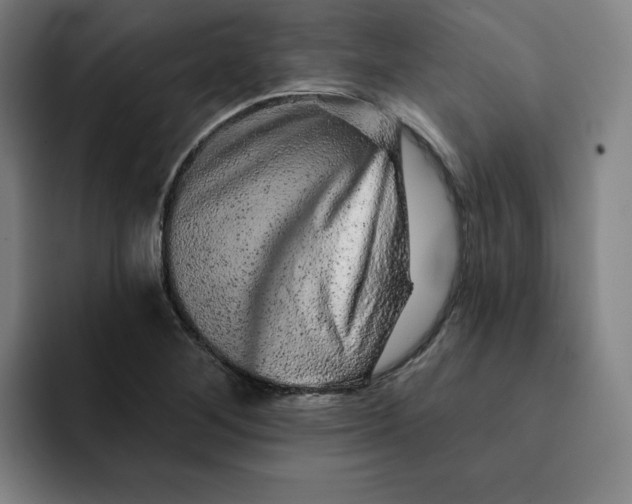 X0000091891268200709261633