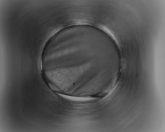 X0000091891269200709261633