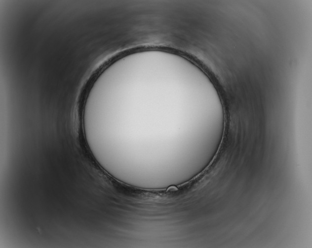 X0000091891270200709261633