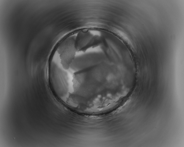 X0000091891275200709261633