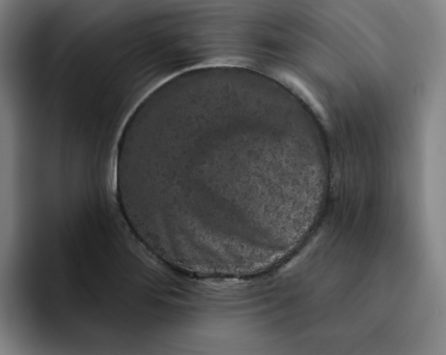 X0000091891276200709261633