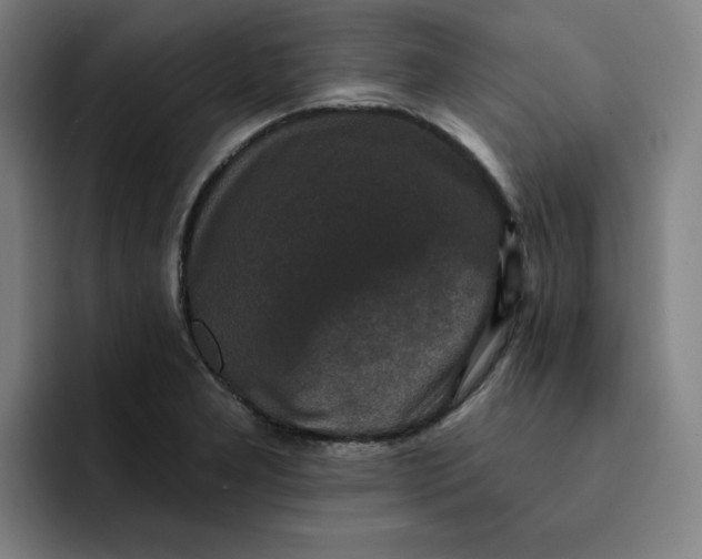 X0000091891277200709261633