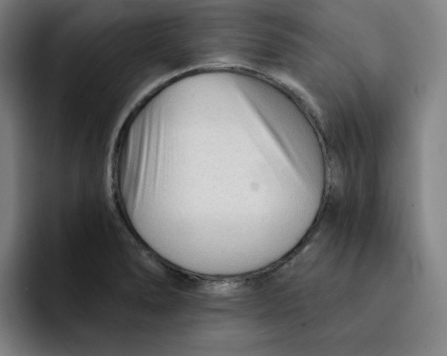 X0000091891278200709261633