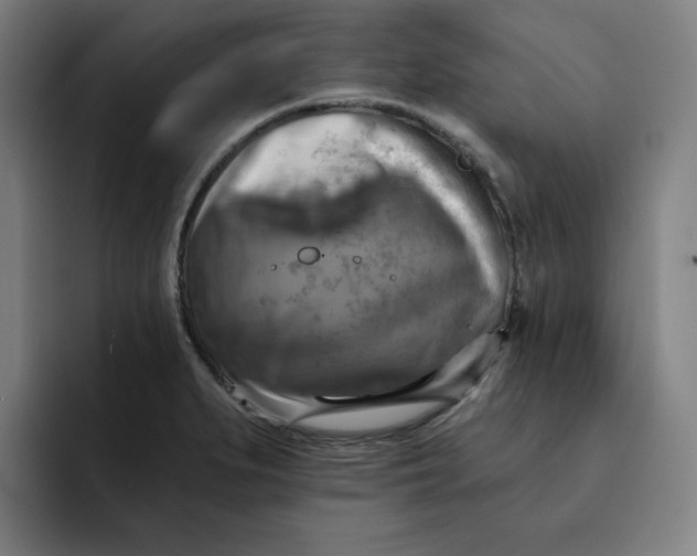 X0000091891279200709261633