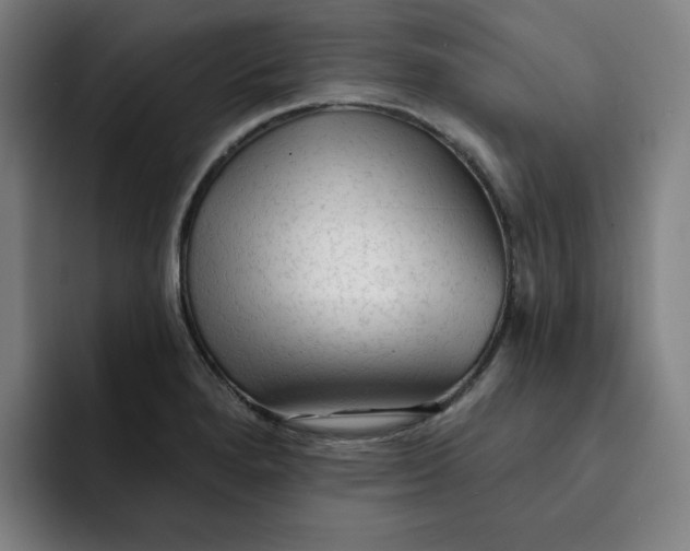 X0000091891280200709261633