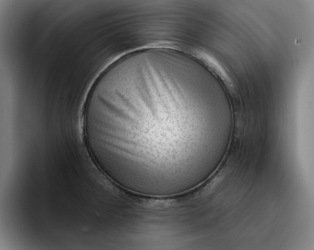 X0000091891284200709261633