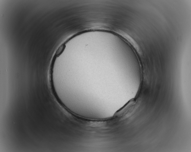 X0000091891285200709261633