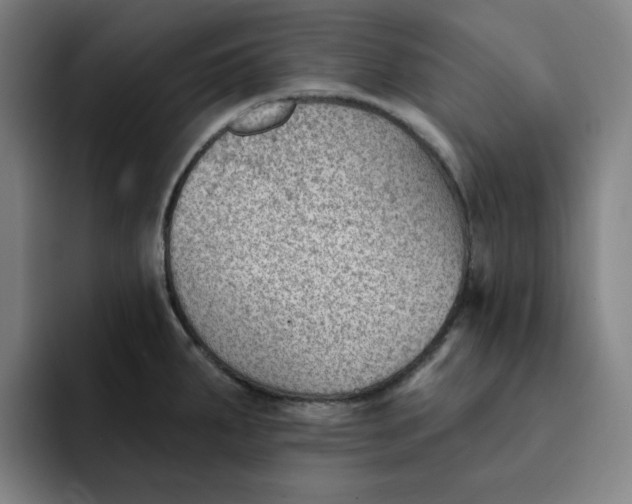X0000091891287200709261633