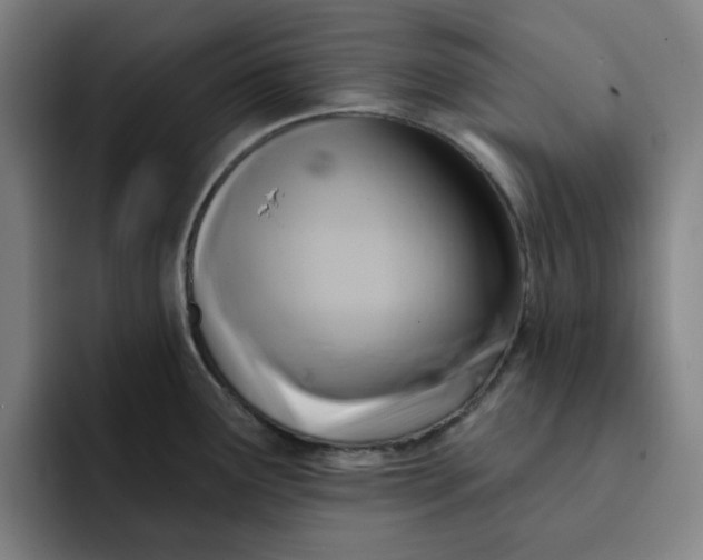 X0000091891291200709261632
