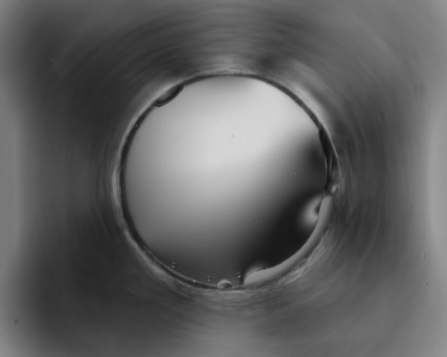 X0000091891293200709261632