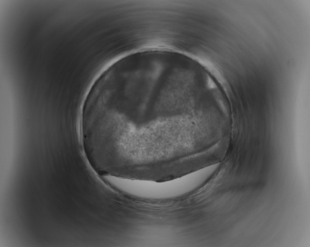 X0000091891295200709261632