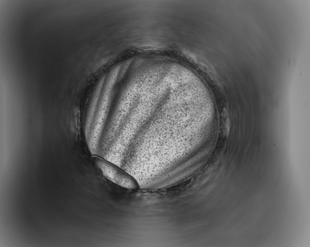 X0000091891301200709261632