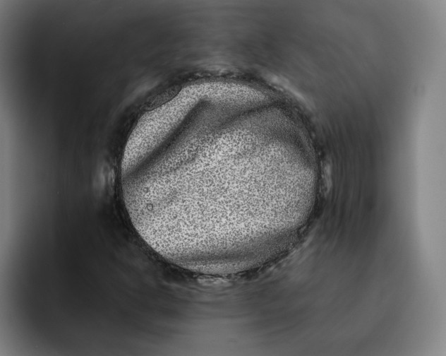 X0000091891302200709261632