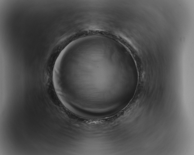 X0000091891303200709261632