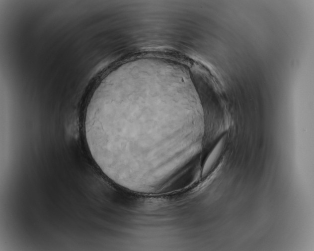 X0000091891306200709261632