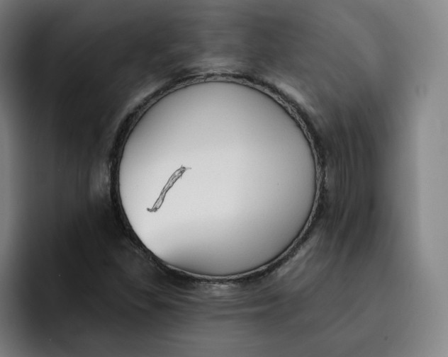 X0000091891309200709261632