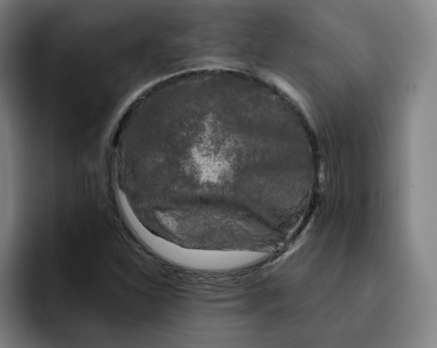 X0000091891310200709261632
