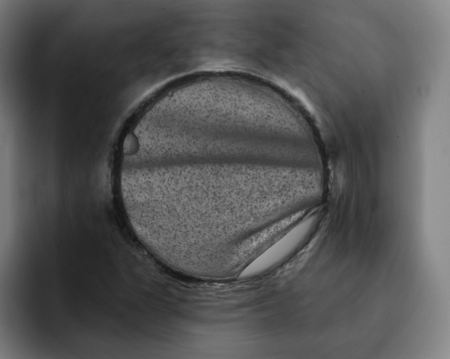 X0000091891311200709261632