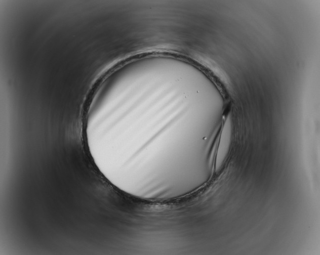 X0000091891316200709261632