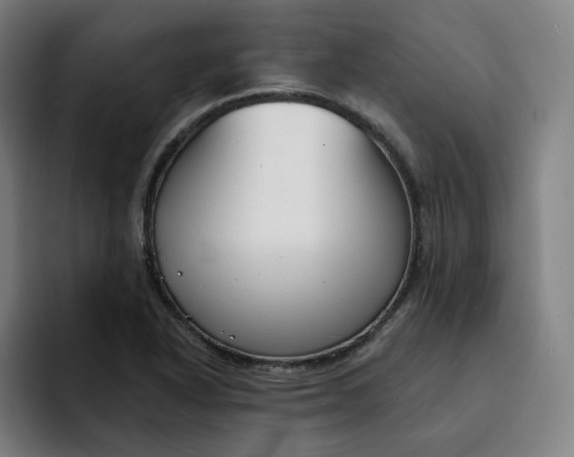 X0000091891318200709261632