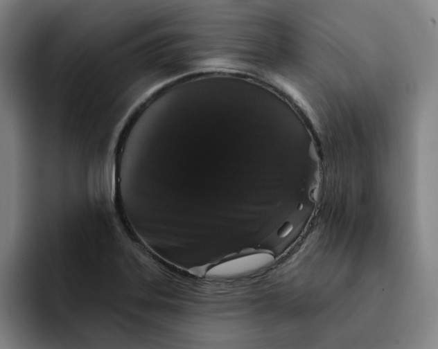 X0000091891323200709261632