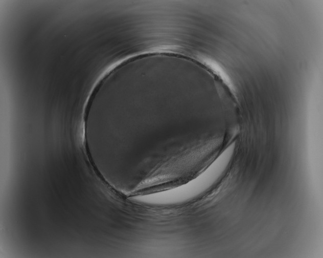 X0000091891324200709261632