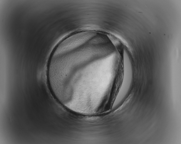 X0000091891325200709261632