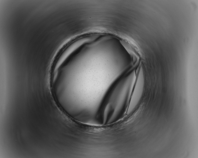 X0000091891326200709261632