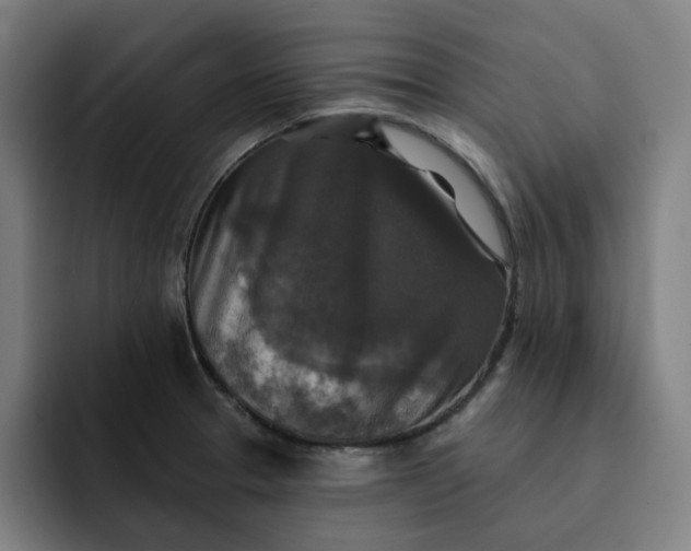 X0000091891329200709261632