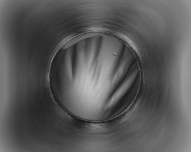 X0000091891330200709261632