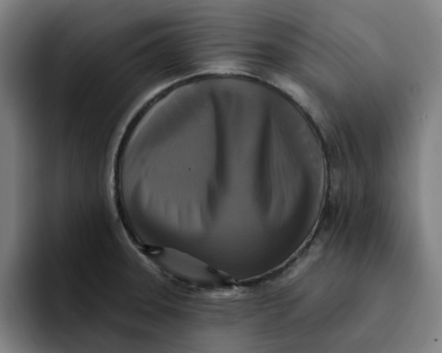 X0000091891331200709261632