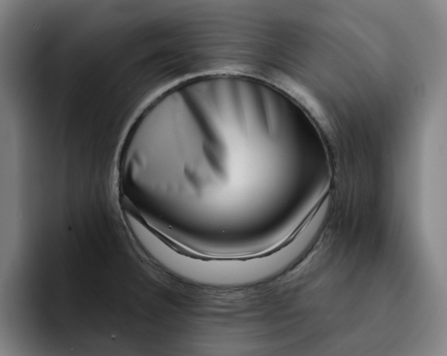 X0000091891332200709261632