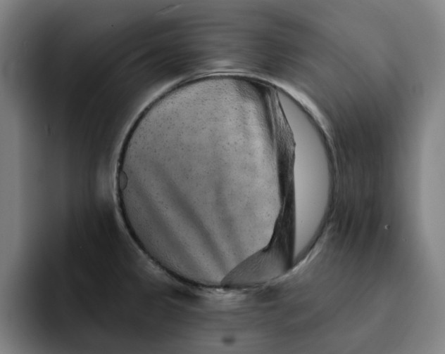X0000091891333200709261632