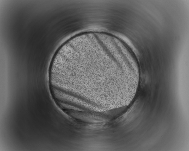 X0000091891335200709261632