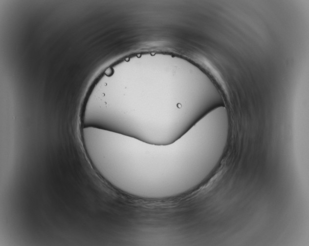 X0000091891336200709261632
