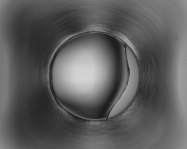 X0000091891339200709261632