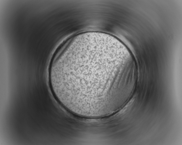 X0000091891341200709261632