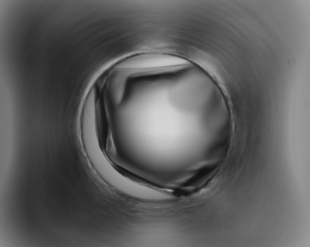 X0000091891344200709261632