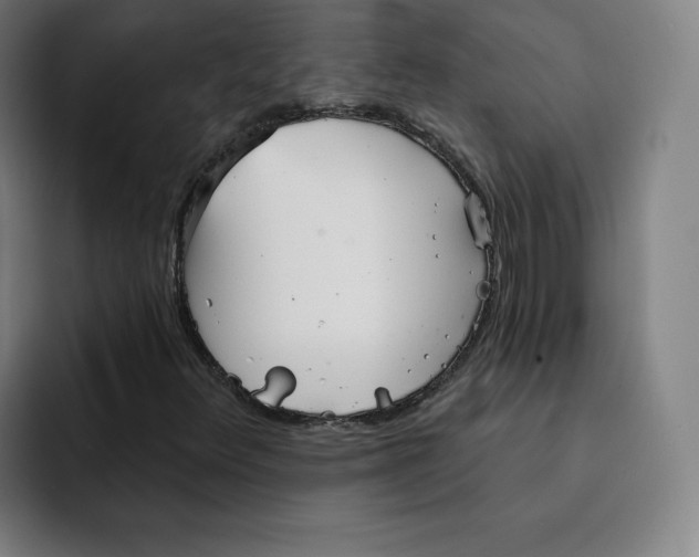 X0000091891348200709261632