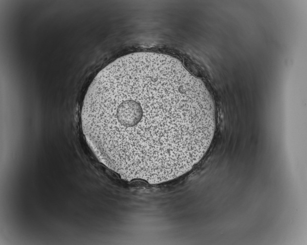 X0000091891349200709261632