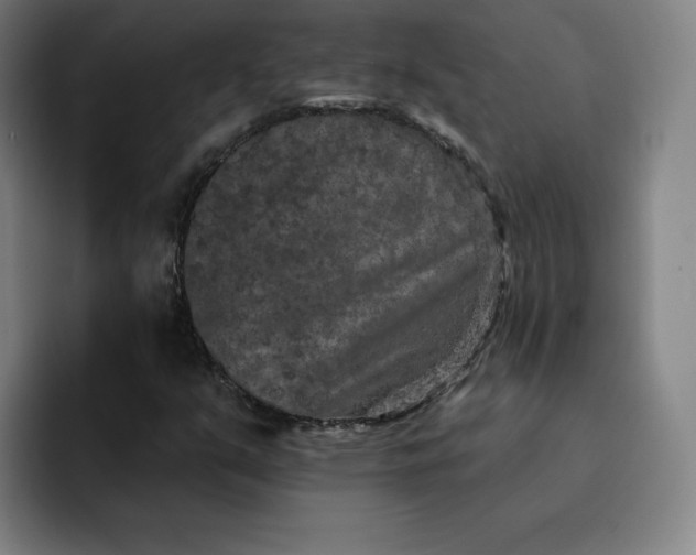 X0000091891351200709261632